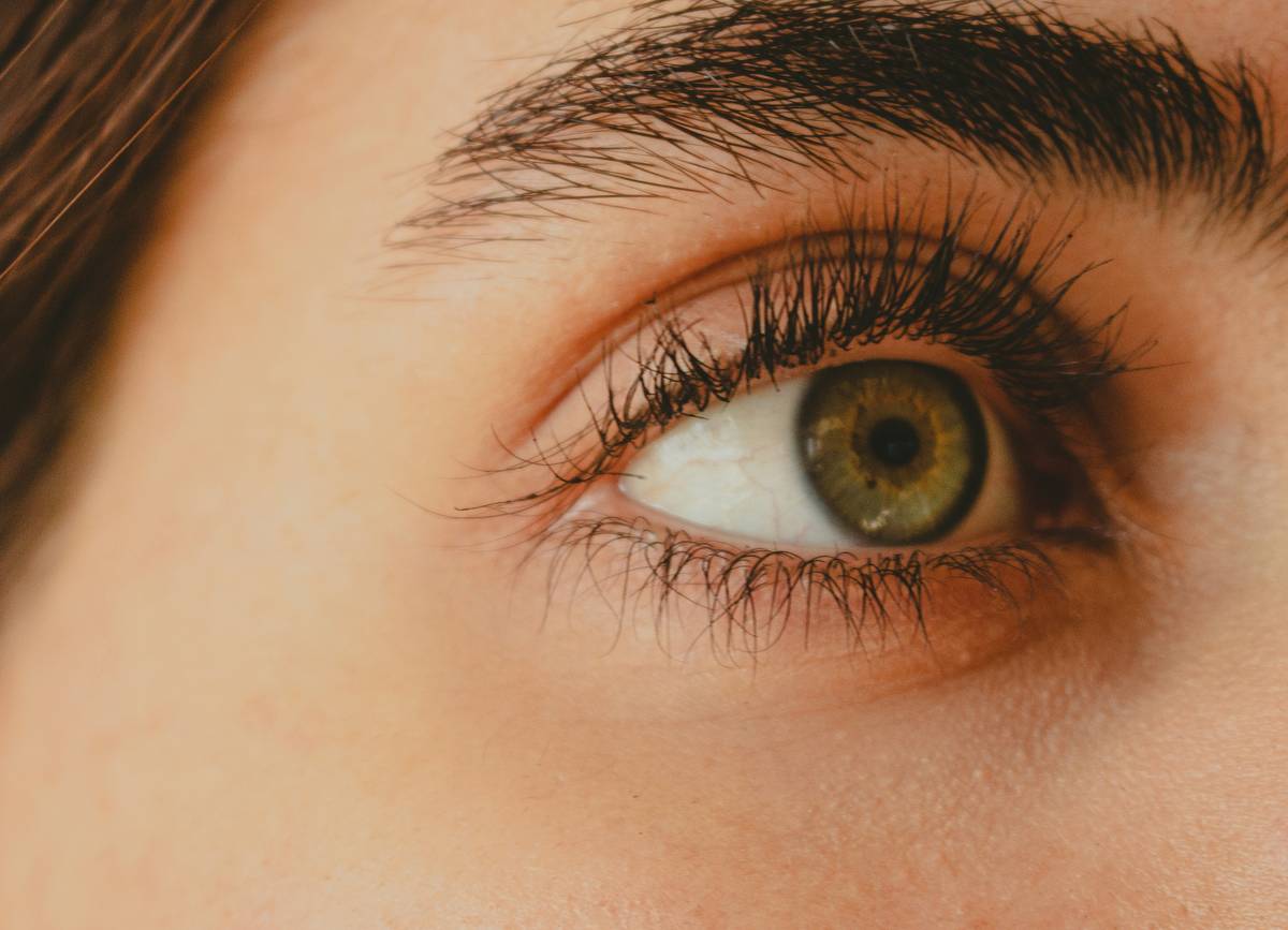 home brow tint kit: Your Secret Weapon for Salon-Perfect Brows Without Leaving Home